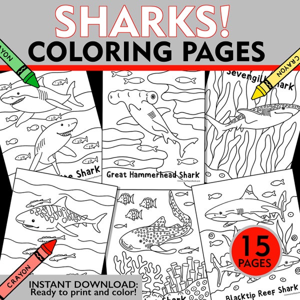 Shark Coloring Pages, Shark Coloring Sheets, Shark Week Coloring Pages, Shark Week Activity for Kids, Shark Printable, Instant Download