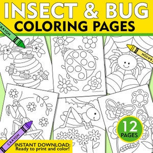 Dibujos para colorear de insectos y bichos, hojas para colorear de insectos y bichos, dibujos para colorear de insectos y bichos para niños, libro para colorear de insectos, libro para colorear de bichos