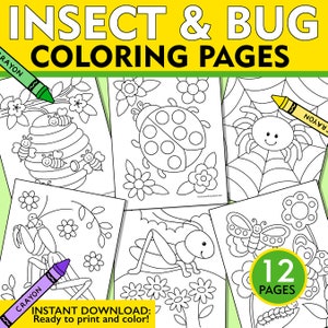 Insect & Bugs Coloring Pages, Insect and Bugs Coloring Sheets, Kids Insect and Bugs Coloring Pages, Insect Coloring Book, Bug Coloring Book