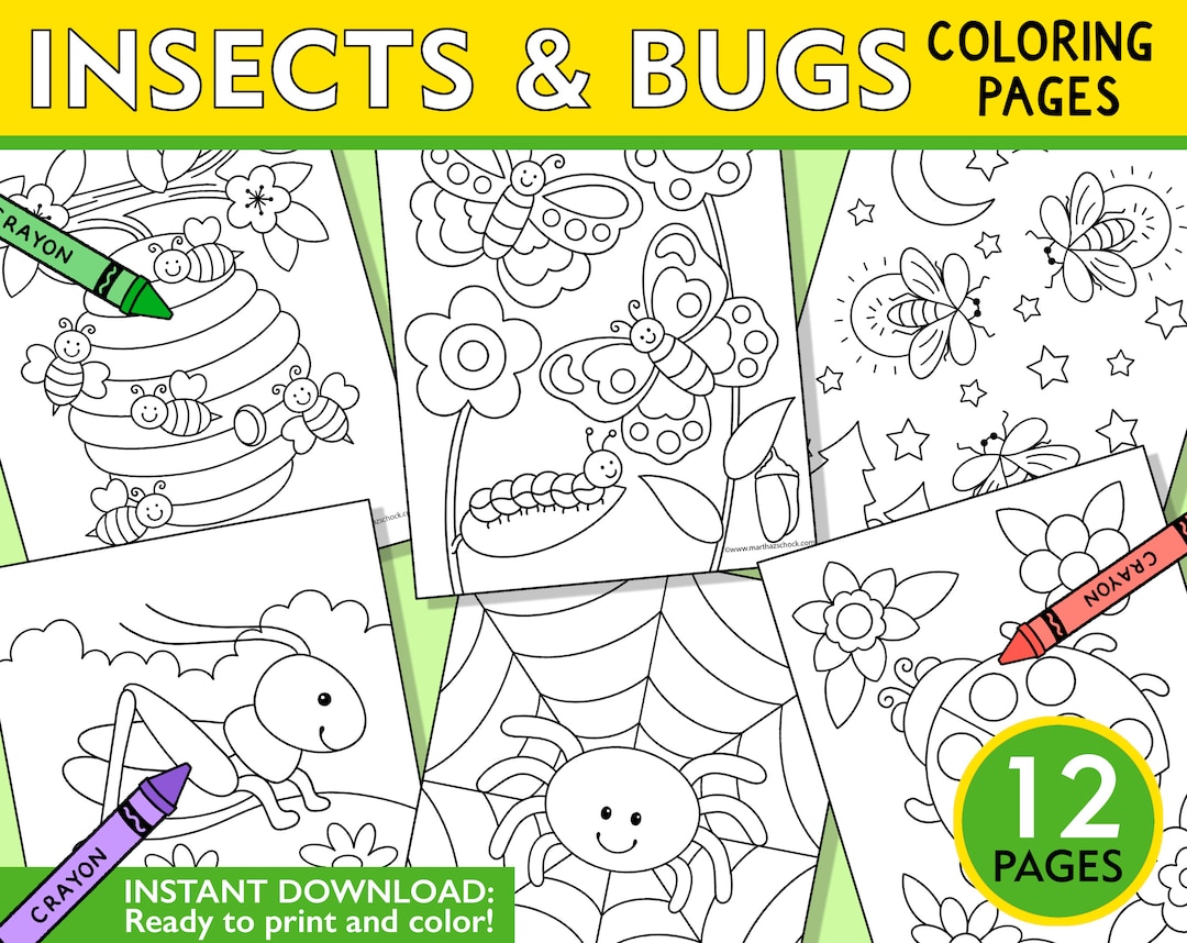 Insect & Bugs Coloring Pages Insect and Bugs Coloring Sheets