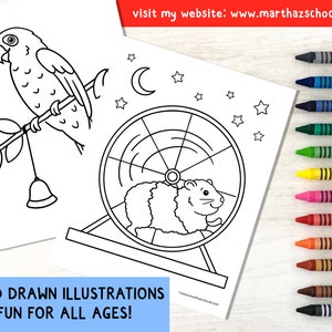 May include: Black and white line art coloring page featuring a parrot perched on a branch with a bell, and a hamster running in a wheel. The image includes stars and a crescent moon.