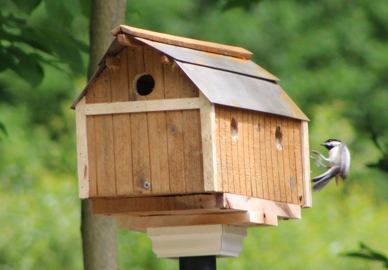 Scheune Stil Vogelhaus Vogel Nistkästen Vogelhäuser Kiefer | Etsy