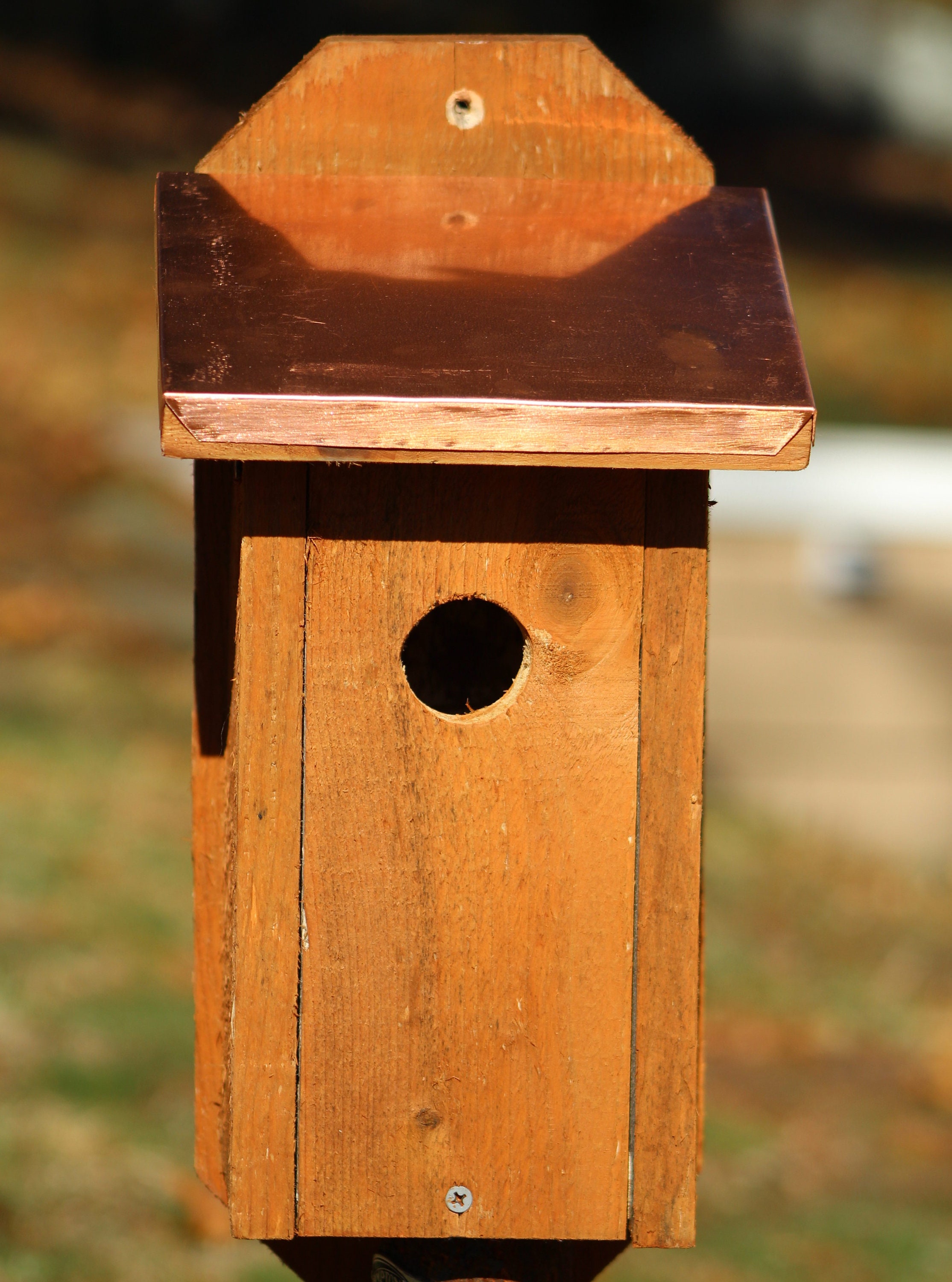 Blue Bird Nesting Boxes, Bird Houses, Pine Wood, Copper Accents-made to