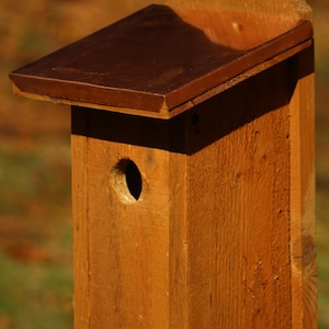 Blue Bird Nesting Boxes, bird houses, pine wood, copper accents-made to order