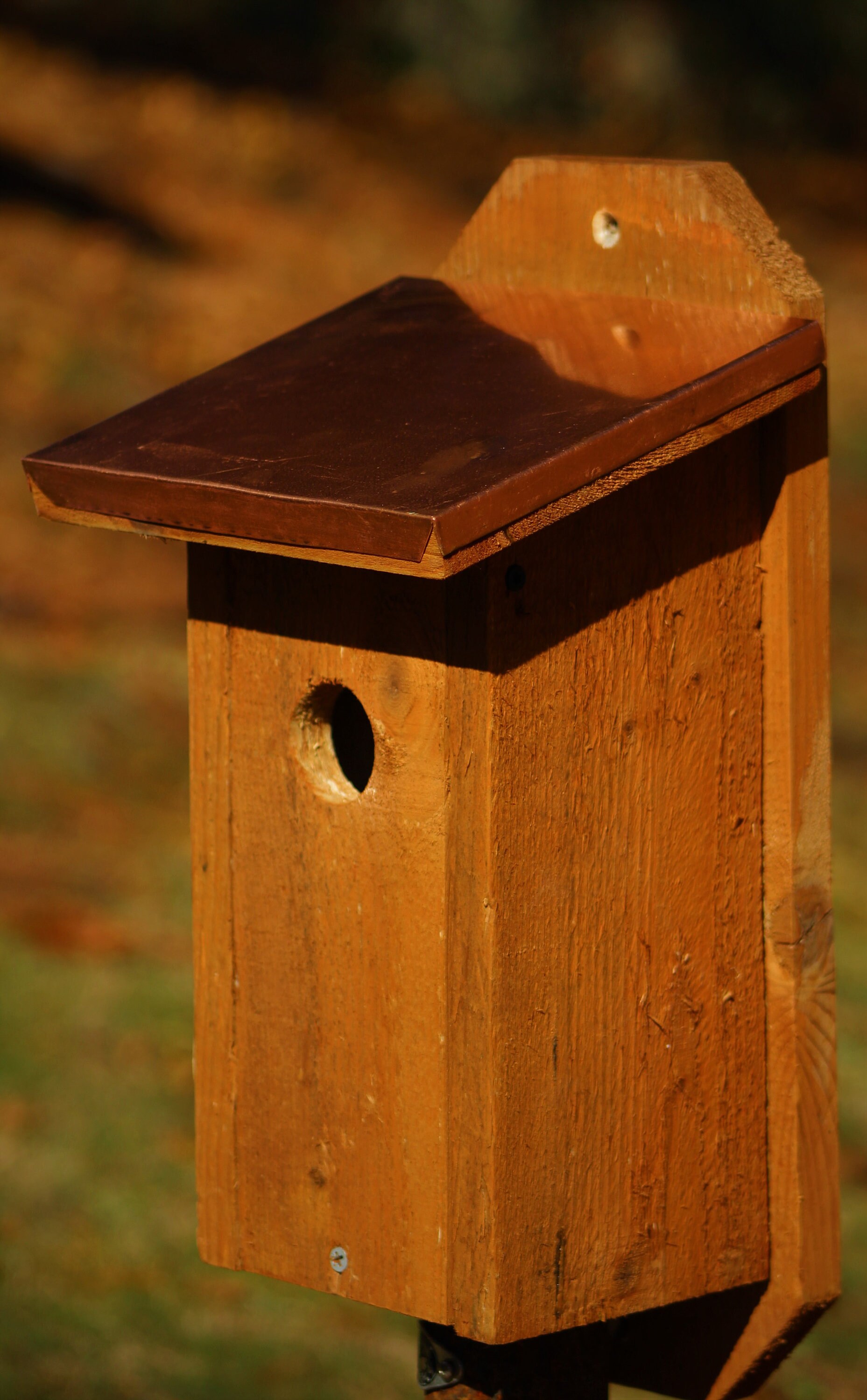 Blue Bird Nesting Boxes, Bird Houses, Pine Wood, Copper Accents-made to