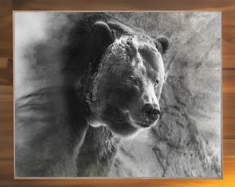 Black Bear, Grizzly, Cave, large abstract bear artwork, wall art, canvas, print