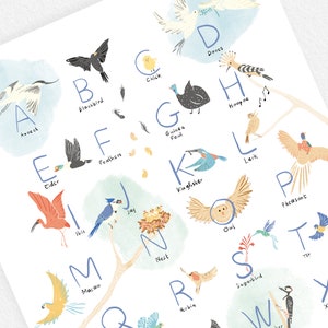 Cartel de cartilla infantil, pájaros, formato A3