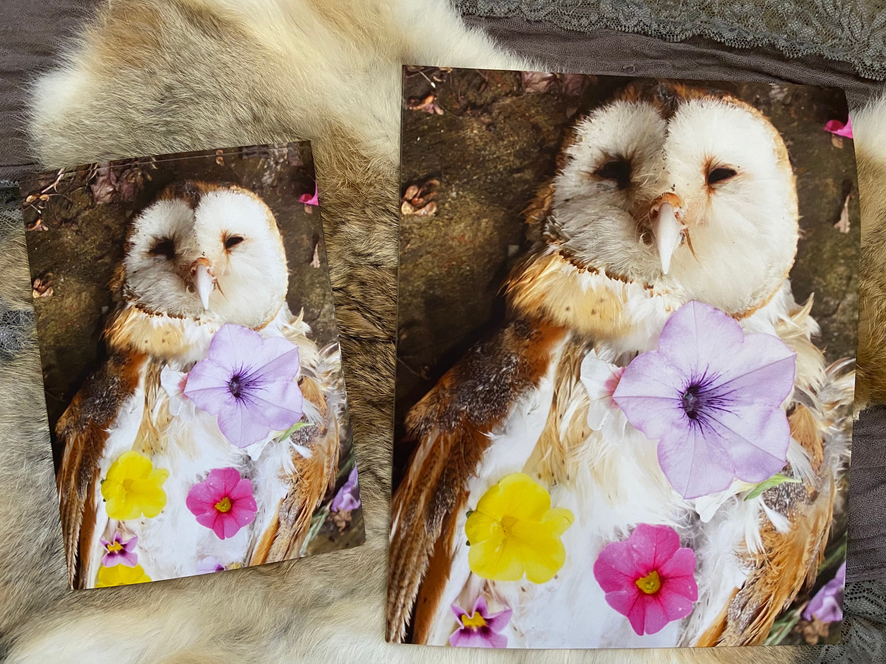 Owl Ceremony Deep Matte Giclee Photography Art Print 5x7 8x10