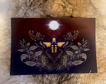 Transcendence in the midnight garden 4x6 illustration art print