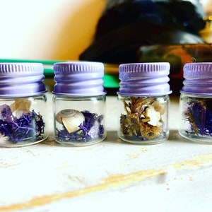 Pequeños terrarios en tarro de espécimen de lavanda