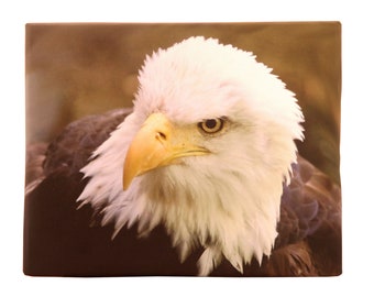 Eagle Canvas Print