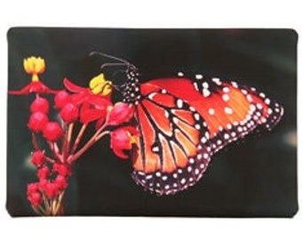 Butterfly on Canvas
