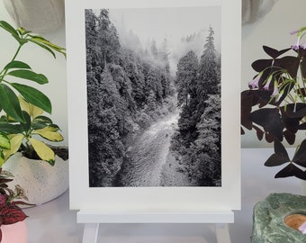 Capilano River - Vancouver BC - Photographie en noir et blanc - Tirage d’art de haute qualité - Cadeau Pour amoureux de la nature