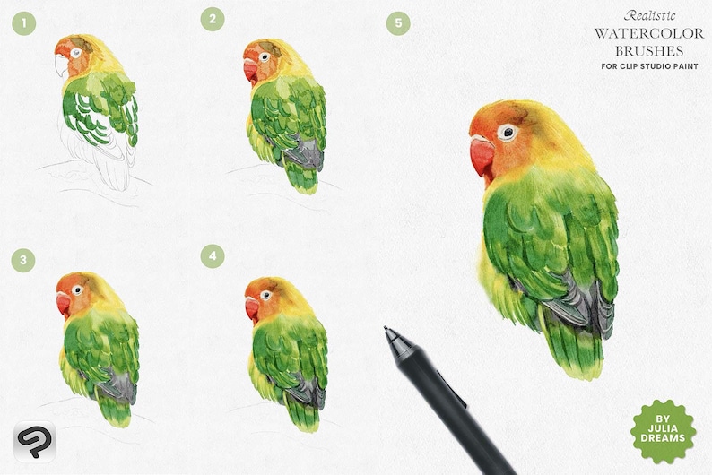 May include: A step-by-step guide on how to draw a lovebird using digital painting software. The image shows five stages of the drawing process, starting with a simple outline and ending with a detailed and realistic watercolor painting. The text "Realistic Watercolor Brushes for Clip Studio Paint" is visible at the top of the image.