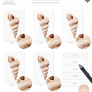 May include: Five watercolor shell canvases for digital art. The canvases are ready-made for use in Clip Studio Paint.