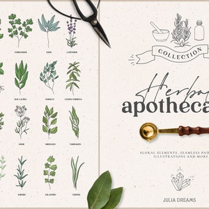 Herbal Apothecary Digital Clipart - Arquivos PNG individuais Elementos do logotipo - Branding - Papéis digitais de ervas - Folhas florais Folhas Arte de alecrim