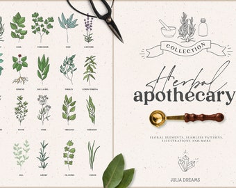 Herbal Apothecary Digital Clipart - Individual PNG Files Logo Elements - Branding - Herbs Digital Papers - Floral Leaves Leaf Rosemary Art