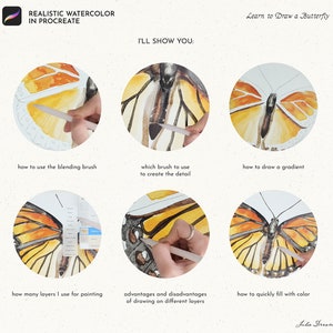 May include: A step-by-step guide on how to draw a realistic watercolor butterfly in Procreate. The guide shows how to use the blending brush, which brush to use for detail, how to draw a gradient, how many layers to use for painting, the advantages and disadvantages of drawing on different layers, and how to quickly fill with color.