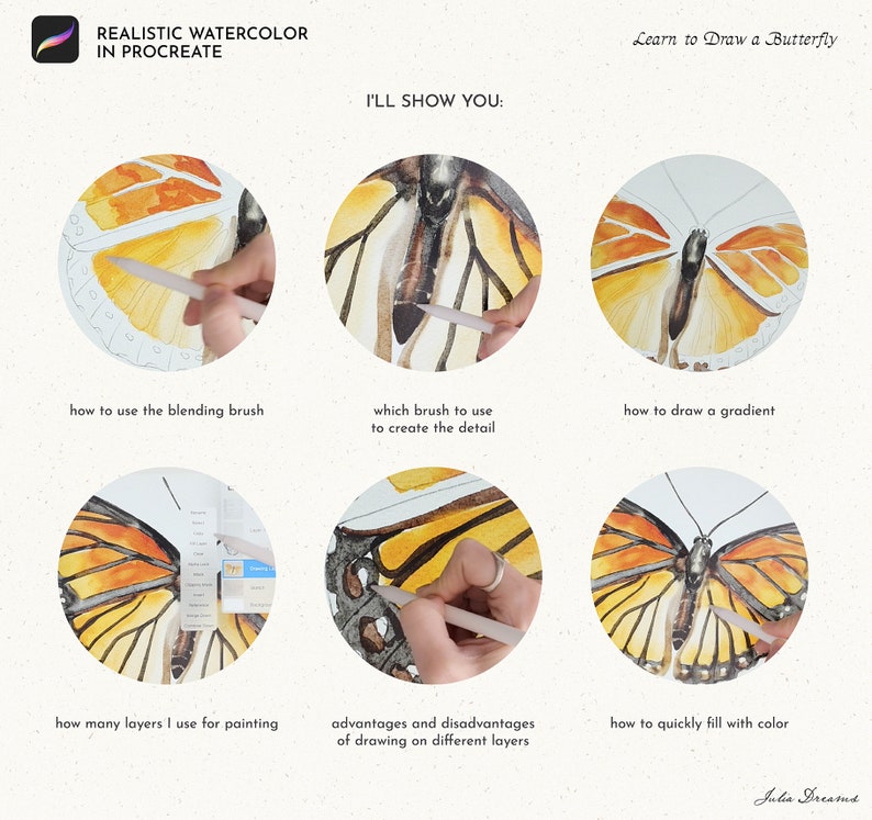 May include: A step-by-step guide on how to draw a realistic watercolor butterfly in Procreate. The guide shows how to use the blending brush, which brush to use for detail, how to draw a gradient, how many layers to use for painting, the advantages and disadvantages of drawing on different layers, and how to quickly fill with color.