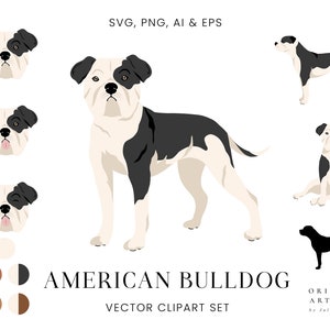 American Bulldog - Dogs Clipart Set - Dog Breeds - Digital PNG SVG Vector - Cute Animals Pets Portrait Puppy - Commercial Use Print Sticker