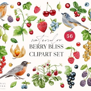 Ensemble de cliparts aquarelle Berry Bliss - baies aquarelle numérique - décoration de chambre de bébé - éléments floraux - logo aquarelle - fraise