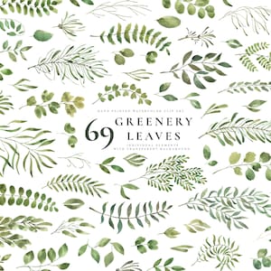 Acquerello Greenery Set - Foglie verdi di fogliame - Fiori fai da te floreali - Design moderno carta d'invito di nozze - Digital PNG Clipart Leaf Art