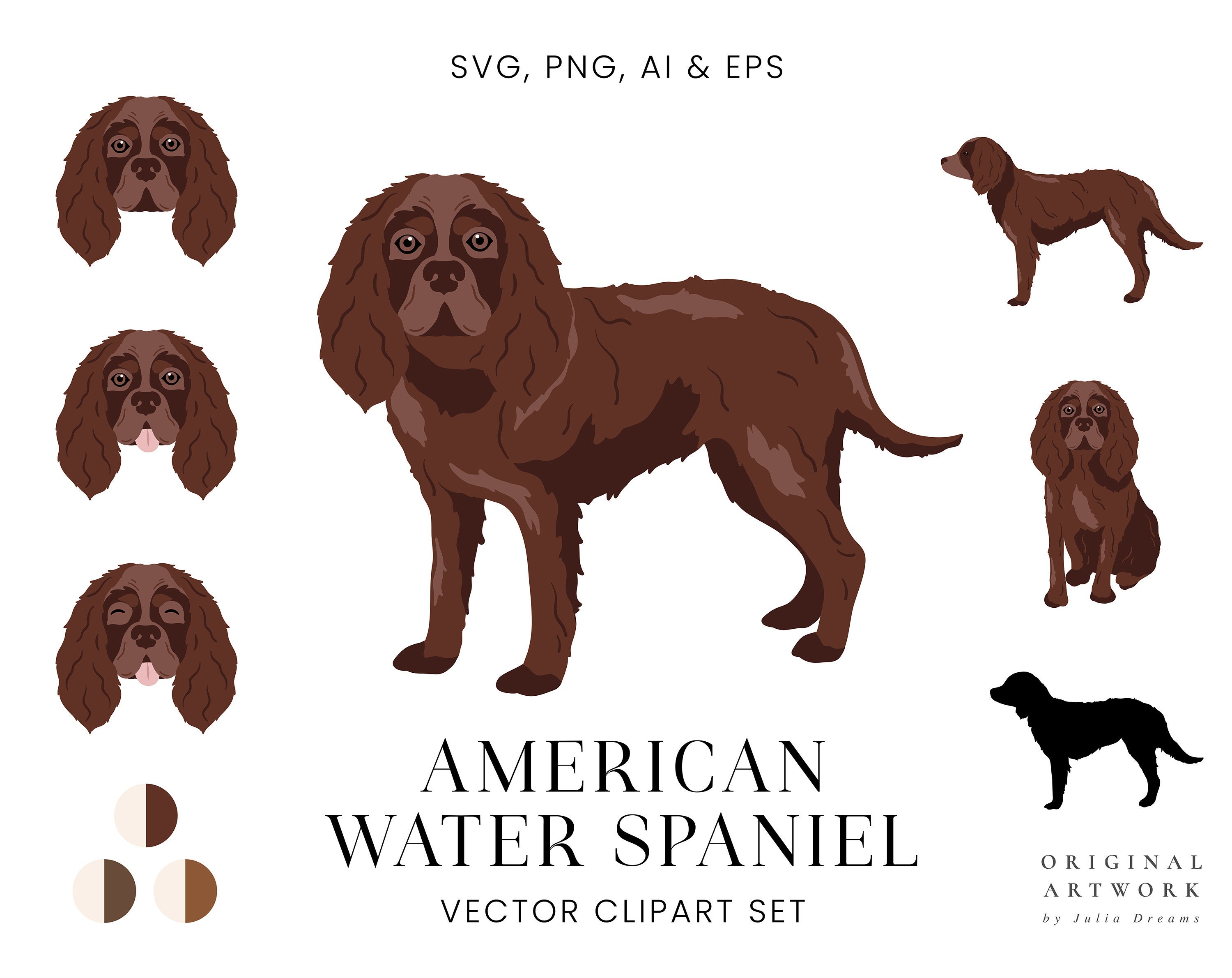 American Water Spaniel - Dogs Clipart Set - Dog Breeds - Digital PNG ...