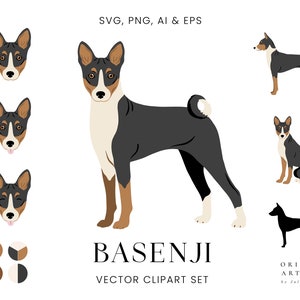 Basenji - Hunde Clipart Set - Hunderassen - Digital PNG SVG Vektor - süße Tiere Haustiere Portrait Welpe - kommerzielle Nutzung Print Aufkleber