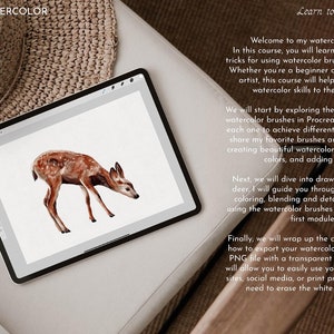 Acuarela Realista en Procreate Tutorial Procreate Ciervos en Acuarela Video de Dibujo Curso de Acuarela Pinceles Procreate Cómo Dibujar imagen 2