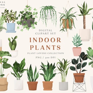 Plantas interiores plantas amantes de la planta Clipart - Jardinería Descargar - PNG Descargar - Serpiente Planta Monstera Palm Aloe - Impresión Verde - Pegatinas del planificador