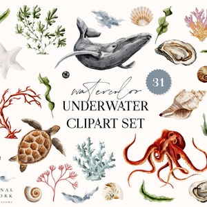 Onderwater aquarel digitale clipart set-nautische-huwelijksuitnodiging-oceaan elementen-aquarel logo zee walvis octopus zeeschelp