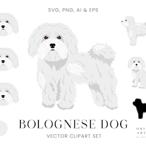 Bolognese Dog - Dogs Clipart Set - Dog Breeds - Digital PNG SVG Vector - Cute Animals Pets Portrait Puppy - Commercial Use Art Print Sticker