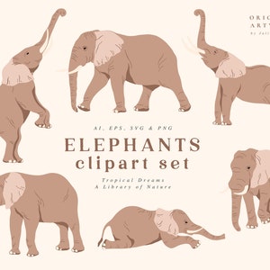 Elephant Digital Clipart - Individual PNG Files - Logo Elements - Wedding Branding - Tropic Digital Papers - Safari Jungle Animals Clip Art