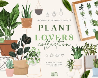 Plant Lovers Clipart - House Plants - PNG Download - Succulent Monstera Cactus - Greenery Print - Planner Stickers - Planters Indoor Plant