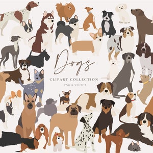Dog Clipart Set - Hand Drawn Dog Breeds - Small, Medium and Large Dogs - Digital PNG Vector - Terrier Labrador Poodle - Cute Animals Pets