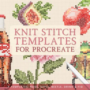 Knit Stitch Templates for Procreate Part 2 - Rose Apple Drink Fig Beetle - Digital Embroidery Template