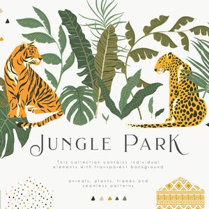 Dschungel Park digitale Clipart - individuelle PNG-Dateien - große Sammlung - Logo PNG Elemente - Branding Illustrationen - Leopard Tiger tropischen