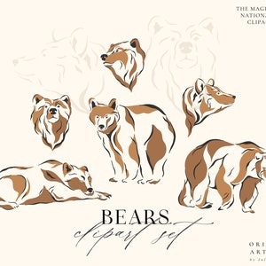 Bär Digitale Cliparts - Individuelle PNG Dateien - Logo Elemente - Hochzeit Branding - Wald Digital Papiere - Bär Waldtiere Clip Art