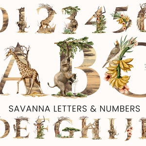 Aquarela Savana Serenata Letras Do Alfabeto Números - Animais Safari - Clipart Digital PNG - Berçário Do Bebê - Convites - Uso Comercial