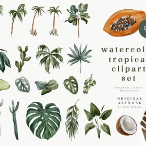 Acuarela Tropical Digital Clipart Set - Invitación de boda - Elementos Florales - Hojas de acuarela - Logo Monstera Cactus - Coco de aguacate