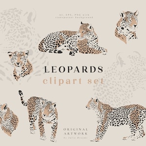 Leopard Digital Clipart - Individual PNG Files - Logo Elements - Wedding Branding - Tropic - Safari Jungle Animals Clip Art