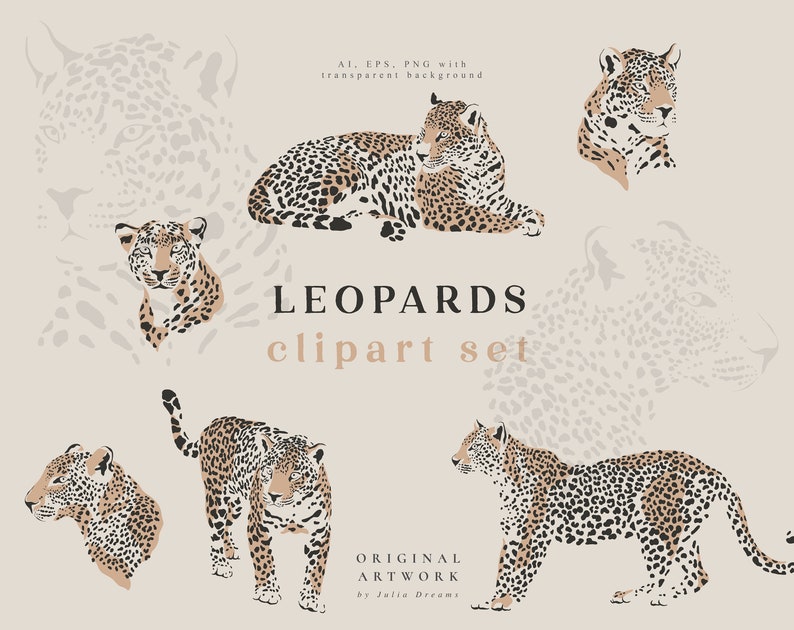 Leopard Digital Clipart Individual PNG Files Logo Elements - Etsy