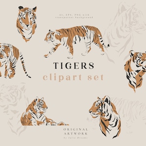 Tiger Digital Clipart - Singoli file PNG - Elementi Logo - Branding matrimonio - Tropic Digital Papers - Safari Jungle Animals Clip Art