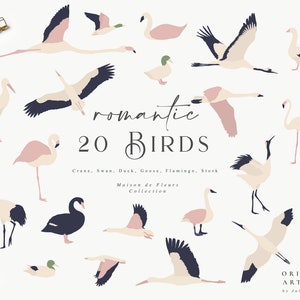 Romántico Pájaros Clipart Set - Dibujado a mano - Digital PNG Vector - Grúa, Cisne, Pato, Ganso, Flamingo, Cig en la cig en la piel de pájaro Animal - Boda