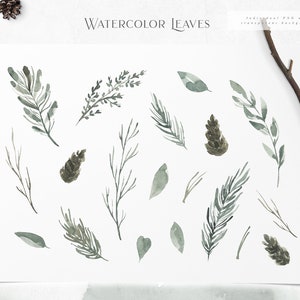 May include: Watercolor illustrations of green leaves and pine cones on a white background. The text "WATERCOLOR LEAVES" is at the top of the image. The text "Individual PNG with transparent background" is at the top right of the image.