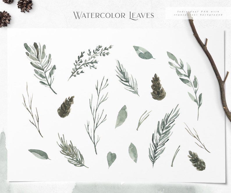 May include: Watercolor illustrations of green leaves and pine cones on a white background. The text "WATERCOLOR LEAVES" is at the top of the image. The text "Individual PNG with transparent background" is at the top right of the image.