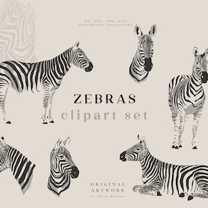 Zebra Digital Clipart - Individual PNG Files - Logo Elements - Wedding Branding - Tropic Digital Art - Safari Jungle Animals Clip Art