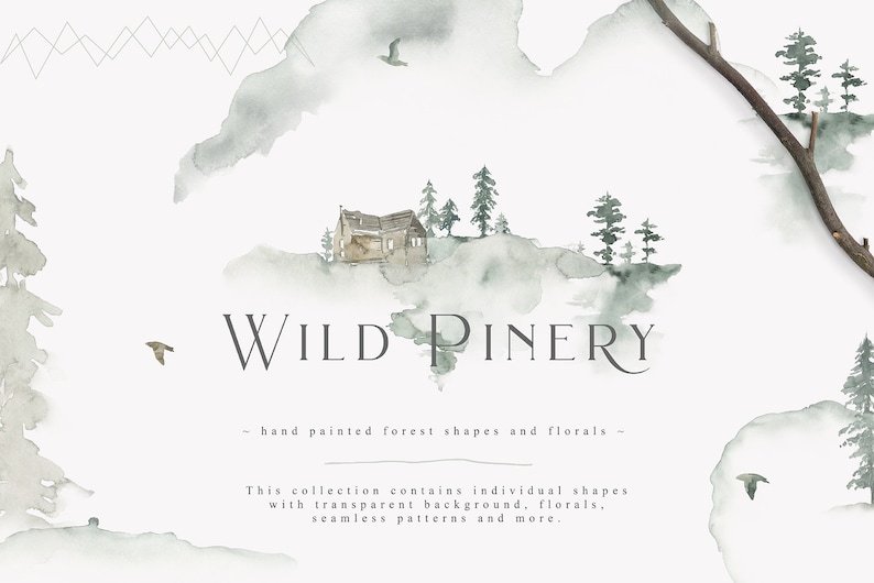 May include: Watercolor illustration of a forest scene with a small cabin, trees, and birds. The text "WILD PINERY - hand painted forest shapes and florals -" is written below the image. This collection contains individual shapes with transparent background, florals, seamless patterns and more.