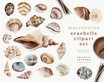 Watercolor Seashells Digital Clipart Set - Ocean Breeze - Wedding Invitation - Summer Elements - Watercolor Nautical - Logo Sea Clip Art