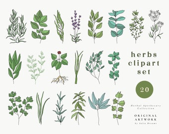 Herbs Clipart Set - Garden Herbs Download - Kitchen Decor - Logo PNG - Instant Download - Basil - Rosemary - Thyme - Parsley - Dill - Chives